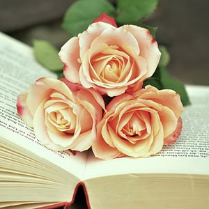 Roses atop an open book